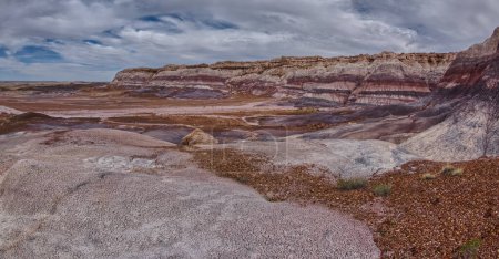 View from below the north cliffs of Blue Mesa in Petrified Forest National Park Arizona.