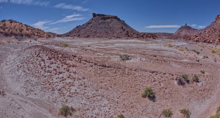 Foto de Anvil Hill en el centro, y Crystal Butte en el oeste derecho de Hamilili Point en Petrified Forest National Park Arizona. - Imagen libre de derechos