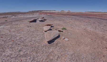 Foto de Rocas planas a lo largo del Sendero Haystack en el Parque Nacional Bosque Petrificado Arizona. - Imagen libre de derechos
