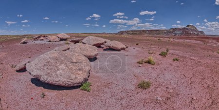 Foto de Rocas planas a lo largo del Sendero Haystack en el Parque Nacional Bosque Petrificado Arizona. - Imagen libre de derechos