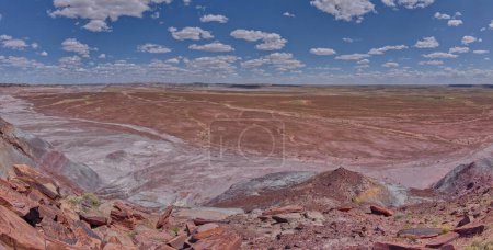 East view from the summit of Haystack Mesa in Petrified Forest National Park Arizona.