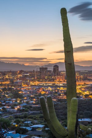 Foto de Tucson, Arizona, Estados Unidos skyline y cactus al atardecer. - Imagen libre de derechos