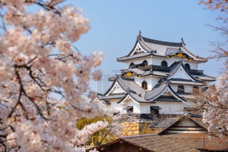 Photo for Hikone, Japan at Hikone Castle in the spring season. - Royalty Free Image