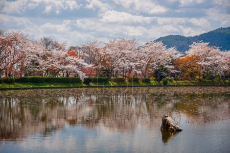 Foto de Kyoto, Japón en la primavera en el estanque del templo de Daikaku ji
. - Imagen libre de derechos