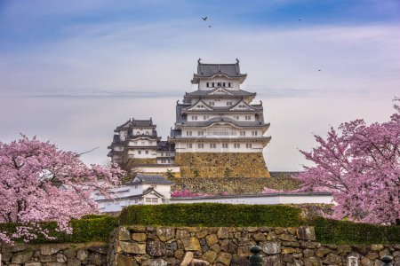Téléchargez les photos : Himeji, Japon au château de Himeji pendant la saison des fleurs de cerisier de printemps
. - en image libre de droit