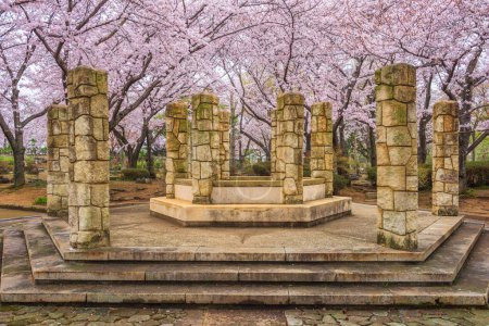 Foto de Monument in HImeji, Japan during Spring Season. - Imagen libre de derechos