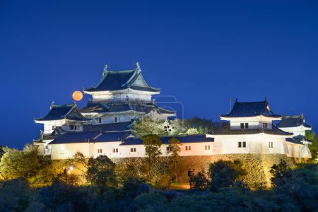 Téléchargez les photos : Wakayama, Japan with Wakayama Castle at moonrise. - en image libre de droit