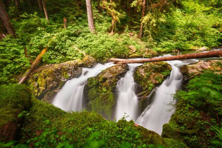 Photo for Sol Duc Falls in Olympic National Park, Washington, USA. - Royalty Free Image