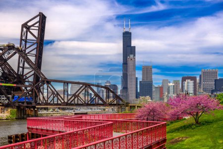 Téléchargez les photos : Chicago, Illinois, États-Unis parc et horizon du centre-ville au printemps. - en image libre de droit