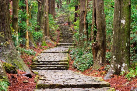 Foto de Kumano Kodo en Daimon-zaka, un sendero sagrado designado como Patrimonio de la Humanidad por la UNESCO en Nachi, Wakayama, Japón
. - Imagen libre de derechos