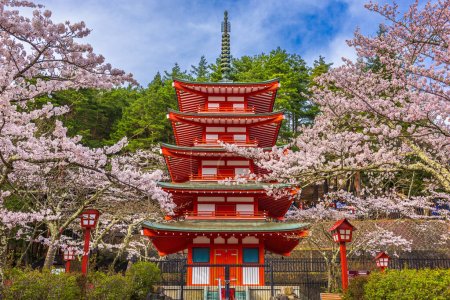 Téléchargez les photos : Fujiyoshida, Japon à la pagode Chureito dans le parc Arakurayama Sengen pendant la saison des fleurs de cerisiers de printemps
. - en image libre de droit