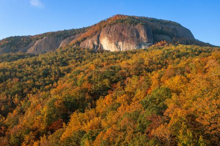 Téléchargez les photos : Pisgah National Forest, Caroline du Nord, États-Unis à Looking Glass Rock pendant la saison automnale le matin. - en image libre de droit