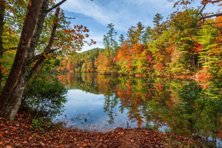 Lakeside fall foliage at Santeetlah Lake, North Carolina, USA.