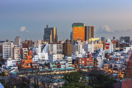 Téléchargez les photos : Tokyo, Japon immeubles d'appartements et paysage urbain à Sumida Ward au crépuscule
. - en image libre de droit