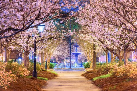 Photo for Macon, Georgia, USA in the springtime from the main square. - Royalty Free Image