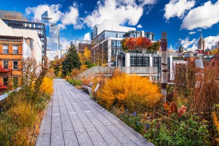 Téléchargez les photos : New York, New York, États-Unis en High Line pendant la saison d'automne. - en image libre de droit