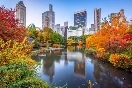 Téléchargez les photos : Central Park pendant l'automne à New York au crépuscule
. - en image libre de droit