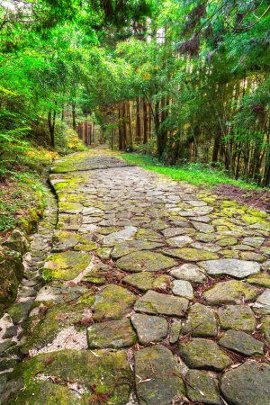 Foto de El antiguo sendero Nakasendo en Ochiai camino empedrado en el valle rural de Kiso, Prefectura de Gifu, Japón. - Imagen libre de derechos