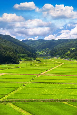 Foto de Rural Nagano, Japón Terrazas de arroz - Imagen libre de derechos