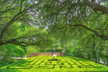 Photo for WILLIAMSBURG, VIRGINIA, USA - MAY 8, 2023: The hedge maze of the Governor's Palace. The palace was the official residence of the royal governors of the Colony of Virginia and was rebuilt in 1931. - Royalty Free Image