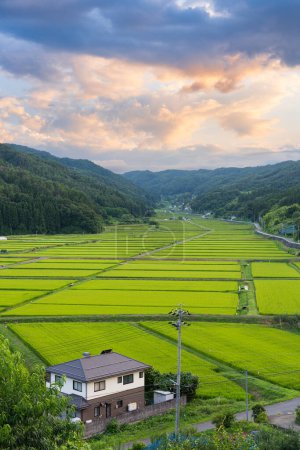 Téléchargez les photos : Préfecture de Nagano, Japon sur les terrasses rurales de riz Tanokuchi. - en image libre de droit