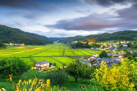 Téléchargez les photos : Préfecture de Nagano, Japon sur les terrasses rurales de riz Tanokuchi. - en image libre de droit
