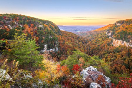Téléchargez les photos : Cloudland Canyon, Géorgie, États-Unis paysage d'automne au crépuscule. - en image libre de droit