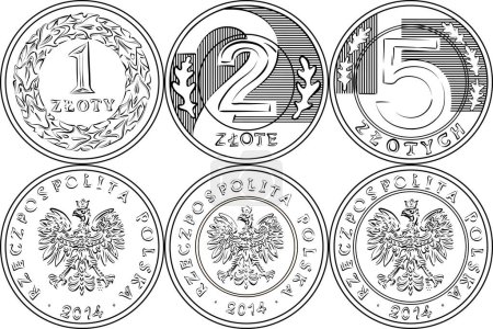 Vector reverse and obverse Polish Money one, two and five zloty gold and silver coins. Black and white