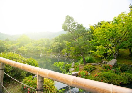 Téléchargez les photos : Jardin de style japonais, cour colorée - en image libre de droit