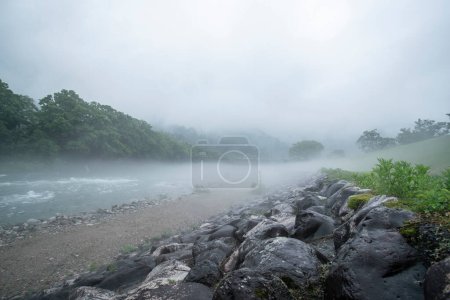 Téléchargez les photos : Jour de brume de montagne dans la forêt du Japon. - en image libre de droit
