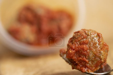 Téléchargez les photos : Boulette de viande en sauce tomate dans un bol en plastique - en image libre de droit