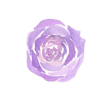 Violet flower watercolor illustration. Floral decorative element. Hand drawn.