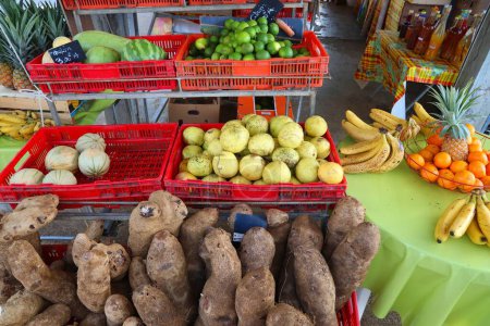 Lebensmittelmarkt in Guadeloupe. Karibisches Obst und Gemüse.