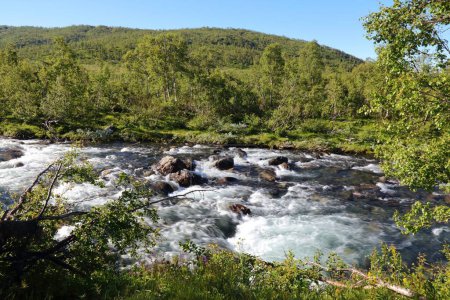 Foto de Noruega paisaje. Río Hemla cerca del valle de Setesdalen cerca de Hovden. Noruega naturaleza. - Imagen libre de derechos