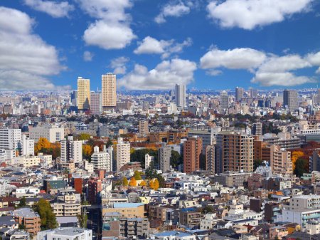Téléchargez les photos : Vue sur le paysage urbain de Tokyo avec les districts de Hongo, Nishikata, Yayoi et Yanaka. - en image libre de droit
