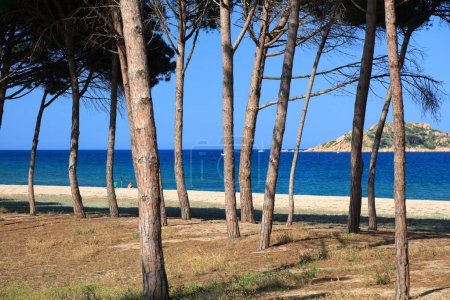 Photo for Lido delle Rose beach (Spiaggia del Lido delle Rose). Sandy beach in Lotzorai in Sardinia island, Italy. - Royalty Free Image