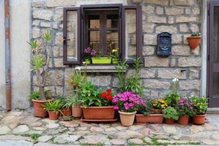 Photo for Aggius small town in Sardinia, Italy. Italian town street cozy flowerpot garden. - Royalty Free Image