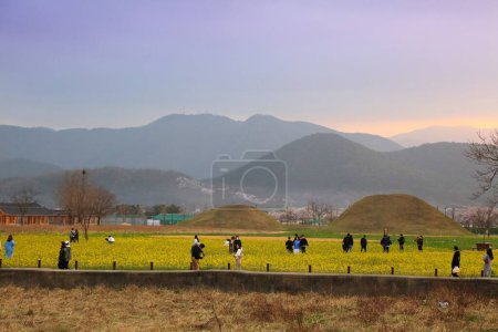 Foto de GYEONGJU, COREA DEL SUR - 26 DE MARZO DE 2023: Los turistas visitan el campo de flores de canola entre los sitios históricos de las tumbas reales en Gyeongju, Corea del Sur. - Imagen libre de derechos