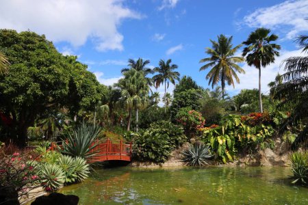 Photo for Guadeloupe - Caribbean vacation destination. Botanical Garden in Deshaies. - Royalty Free Image