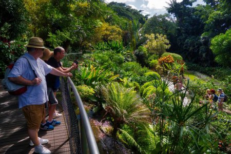 Photo for DESHAIES, GUADELOUPE - DECEMBER 2, 2019: People visit Deshaies Botanical Garden on Basse-Terre island of Guadeloupe. - Royalty Free Image