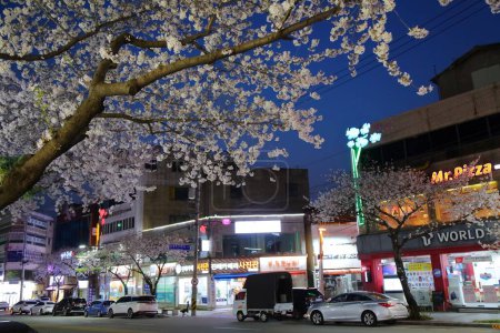 Photo for JINHAE, SOUTH KOREA - MARCH 28, 2023: Town street in Jinhae in Changwon. Jinhae Cherry Blossom Festival is one of biggest spring festivals in South Korea. - Royalty Free Image