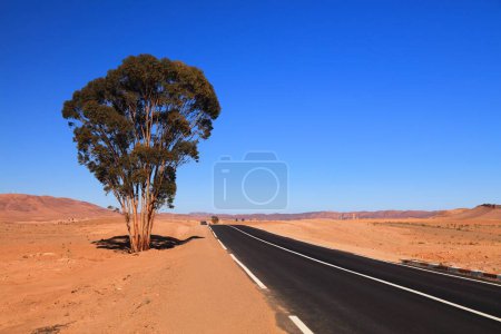 Foto de Camino del desierto de Marruecos en la provincia de Ouarzazate. Paisaje del desierto. - Imagen libre de derechos