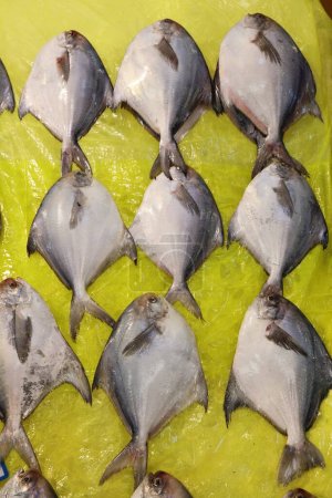 Foto de Mercado de pescado en Seúl, Corea del Sur. Pescado pomposo de plata también conocido como pompano, en Noryangjin Fish Market. - Imagen libre de derechos
