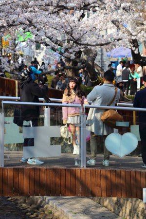 Photo for JINHAE, SOUTH KOREA - MARCH 28, 2023: People visit Jinhae Cherry Blossom Festival in Changwon. It is one of biggest spring festivals in South Korea. - Royalty Free Image