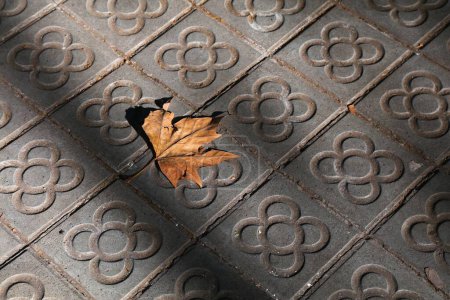 Foto de Baldosas Panot de Barcelona aceras. La flor con cuatro pétalos acera de hormigón pavimento es parte del patrimonio ecléctico de Barcelona. - Imagen libre de derechos