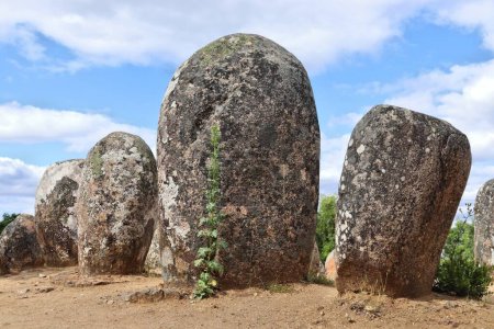 Almendres Cromlech megalith stones in Portugal. Stone circle of neolithic civilization near Evora, Portugal.