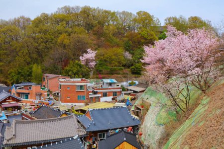 Jeonju Hanok Village townscape in South Korea. Neighborhood of traditional Korean wooden architecture with spring time cherry blossoms. Omokdae hill.