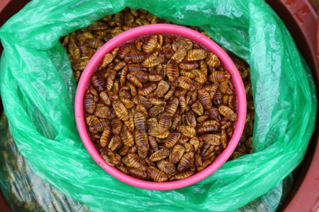 Silkworm pupae for sale in a marketplace in Jeonju, South Korea. Insects as food.