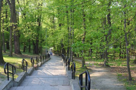 Téléchargez les photos : Jastrzebie Zdroj ville en Pologne. Parc thermal historique (polonais : Parc Zdrojowy). - en image libre de droit