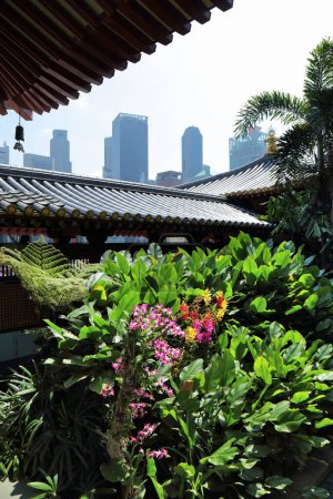 Buddha Tooth Relic Temple garden with orchids in Singapore Chinatown district.